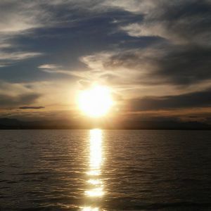 Meet your Posher, Margarita n joel